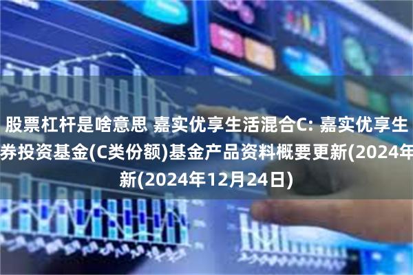 股票杠杆是啥意思 嘉实优享生活混合C: 嘉实优享生活混合型证券投资基金(C类份额)基金产品资料概要更新(2024年12月24日)