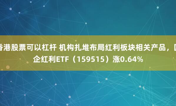 香港股票可以杠杆 机构扎堆布局红利板块相关产品，国企红利ETF（159515）涨0.64%