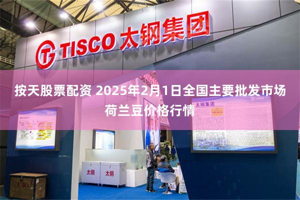 按天股票配资 2025年2月1日全国主要批发市场荷兰豆价格行情